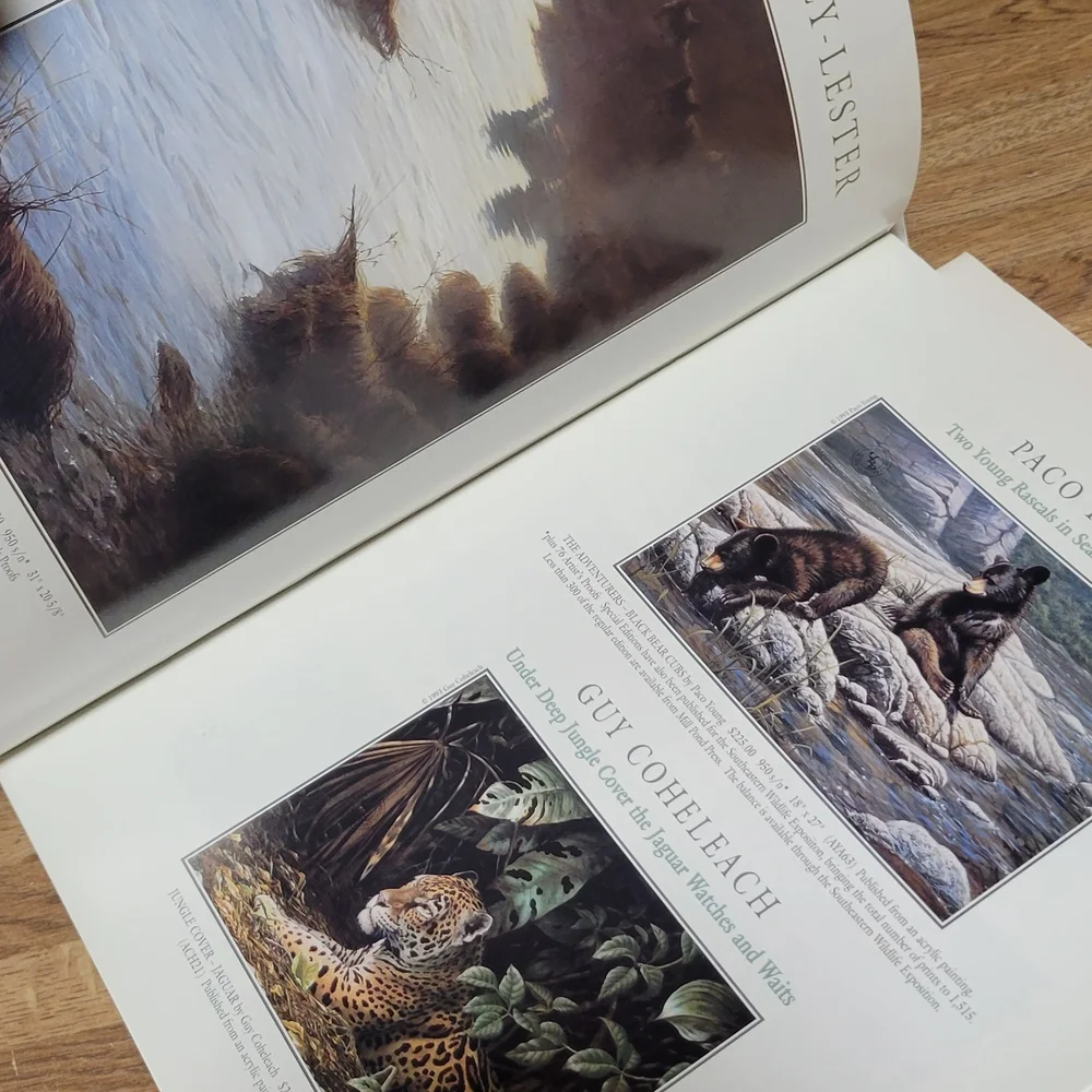 Art Magazines - Picture 3 of 9